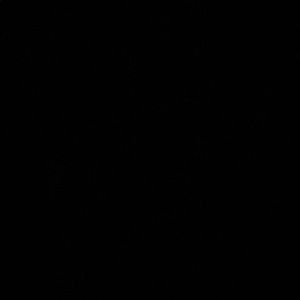 Meet your Posher, Rocio